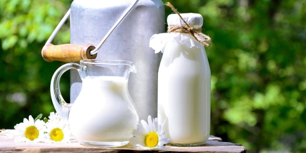 牛奶熱量高嗎？營養師教你這樣喝助減重